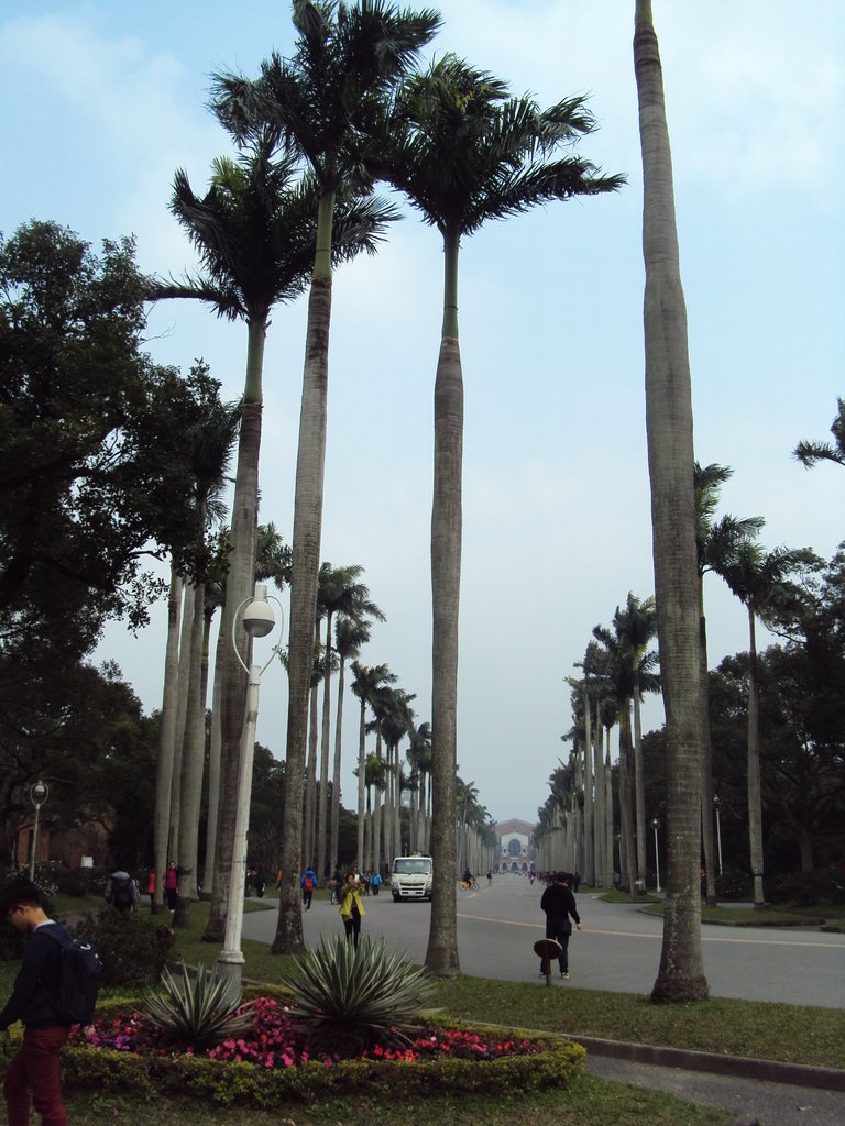 DSC04338.JPG - 台大校園內的日治建築