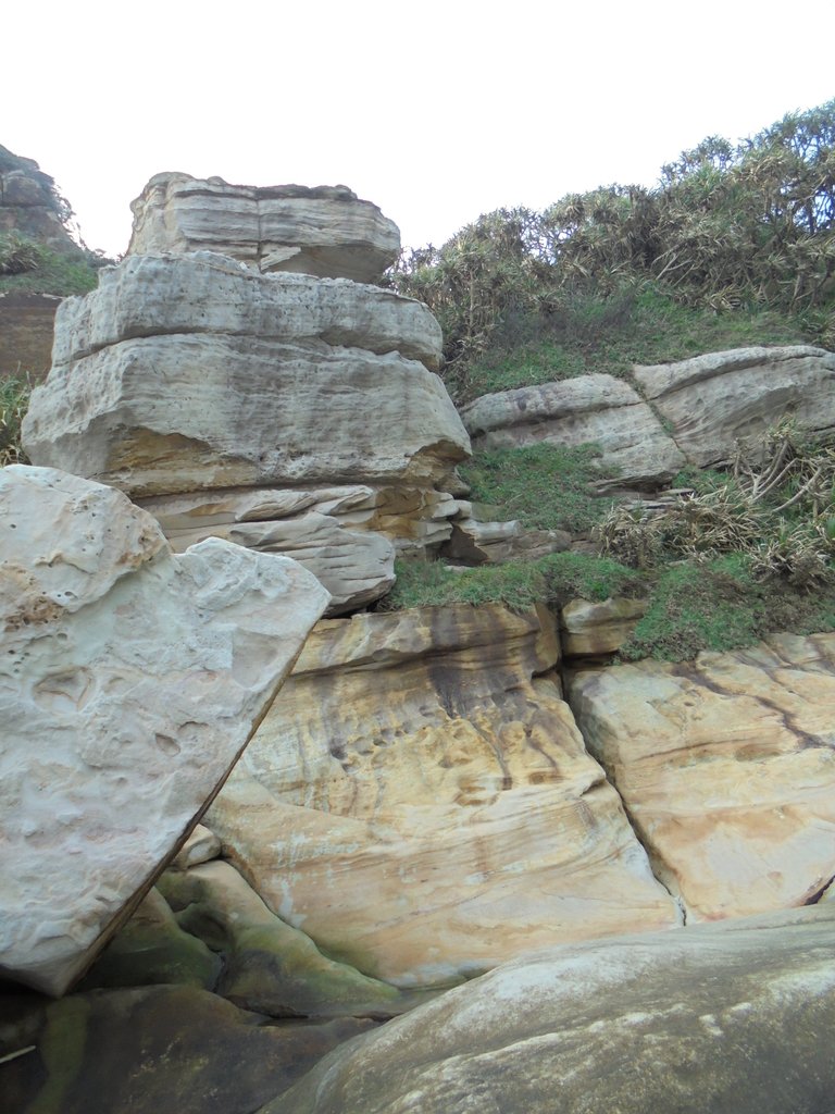 DSC01698.JPG - 金山  獅頭山  神秘海岸