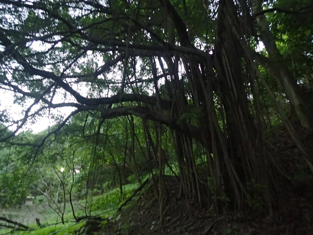 PC018117.JPG - 大直  正願禪寺