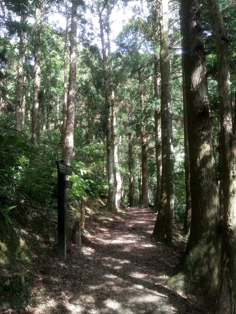 DSC_9013.JPG - 復興  東滿步道