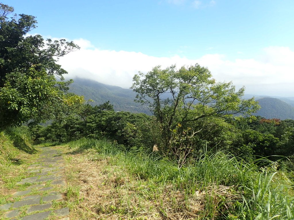 PB247194.JPG - 北投  中正山登山步道  02