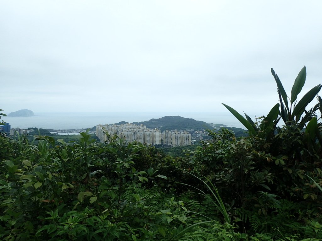 P4143565.JPG - 基隆  五坑山  總督嶺步道