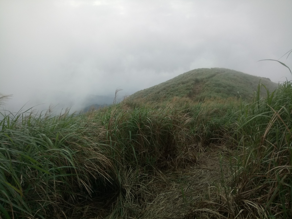 DSC_2860.JPG - 瑞芳  牡丹山