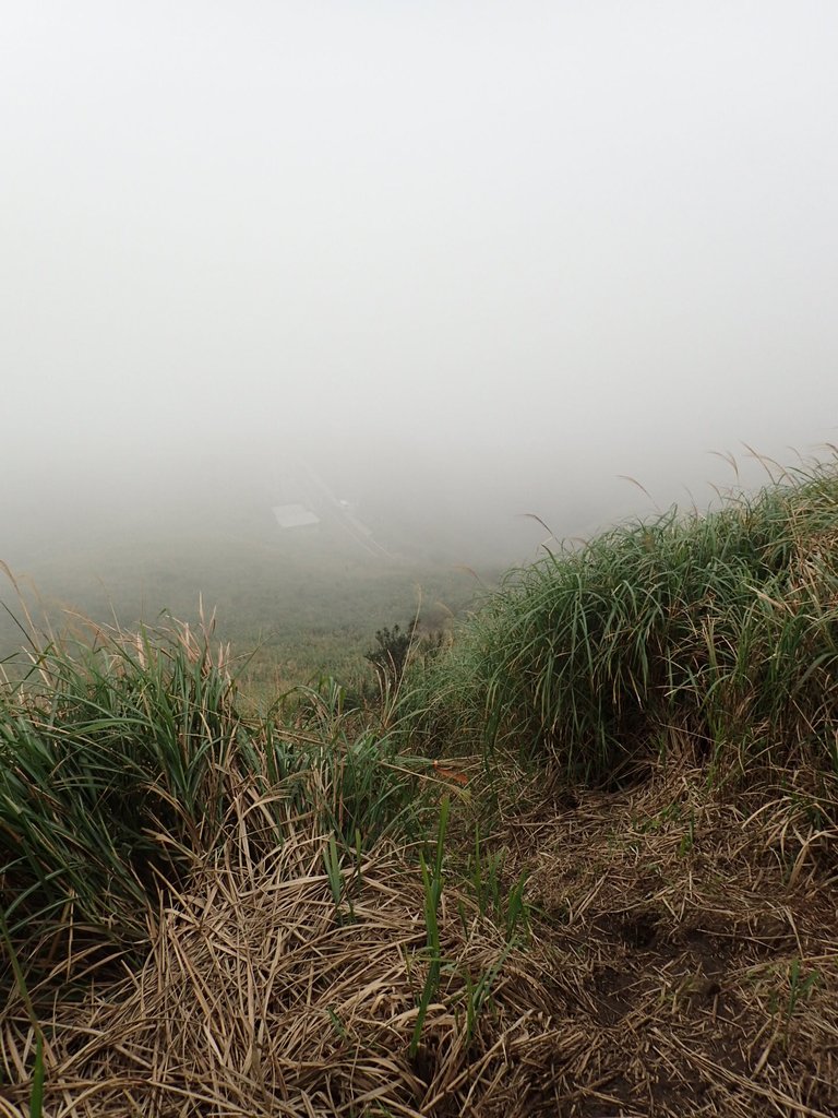 P1203510.JPG - 瑞芳  牡丹山