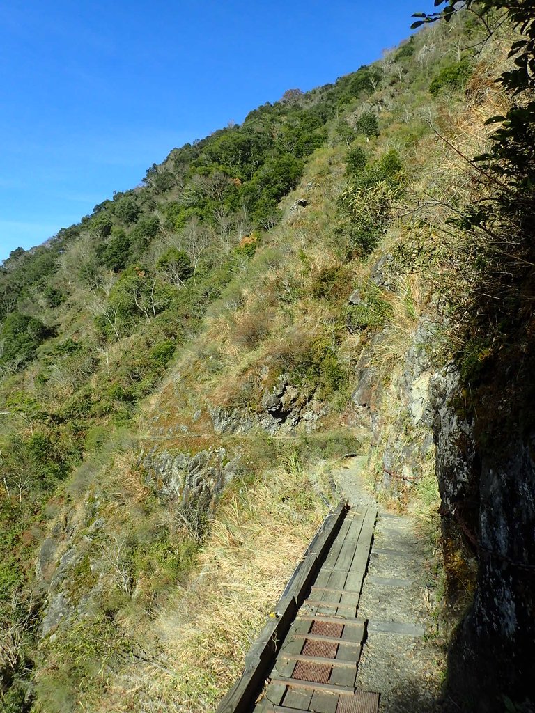 P1022732.JPG - 東埔  八通關古道