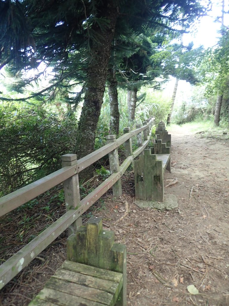 PA064455.JPG - 大湖  馬那邦山  (03)