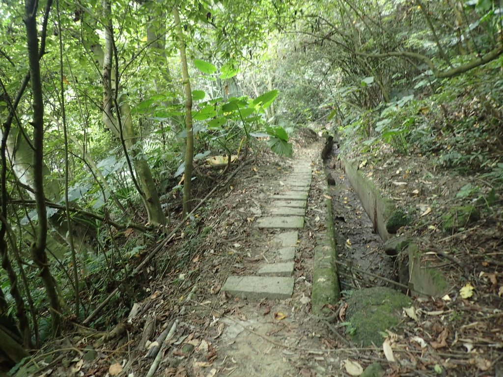 PA171290.JPG - 鹿谷  長源圳古道