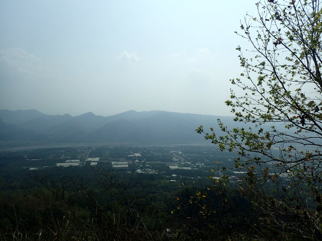 P3016081.JPG - 草屯平林  九九峰森林步道