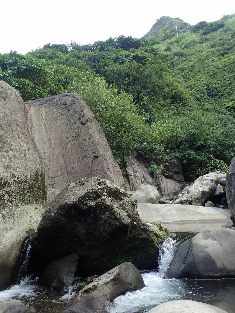 P8317632.JPG - 瑞芳  雷霆岩下之  溪谷風情