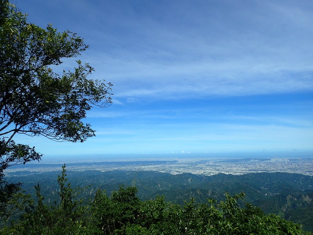 P6284859.JPG - 國姓  大橫屏山