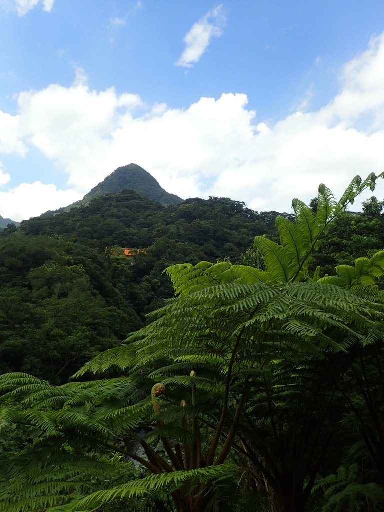 P7175580.JPG - 坪林  石嘈  尖山湖瀑布