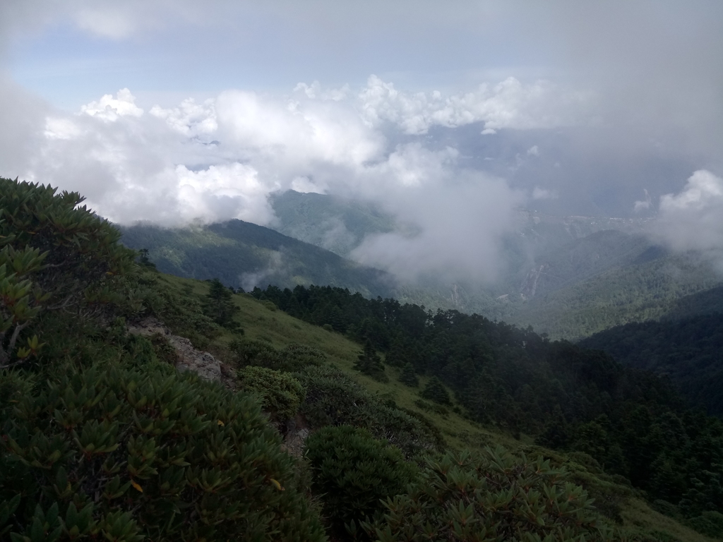 DSC_5404.JPG - 合歡山  北峰之美  (中)