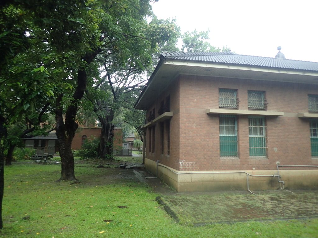 PB074426.JPG - 台南  成功大學  校園掠影