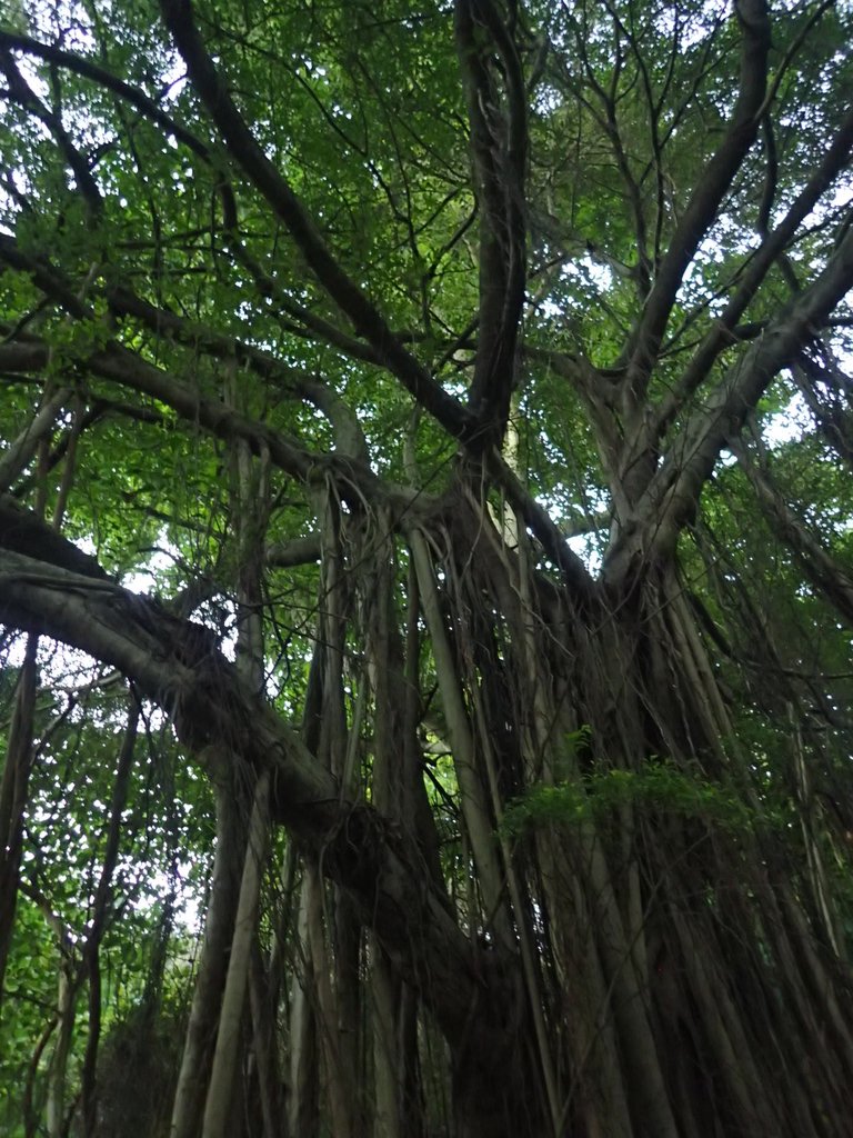 PC018120.JPG - 大直  正願禪寺