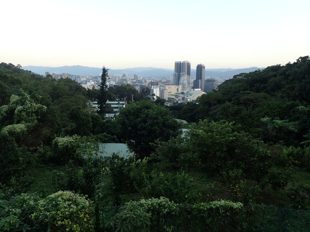 PC018096.JPG - 大直  正願禪寺