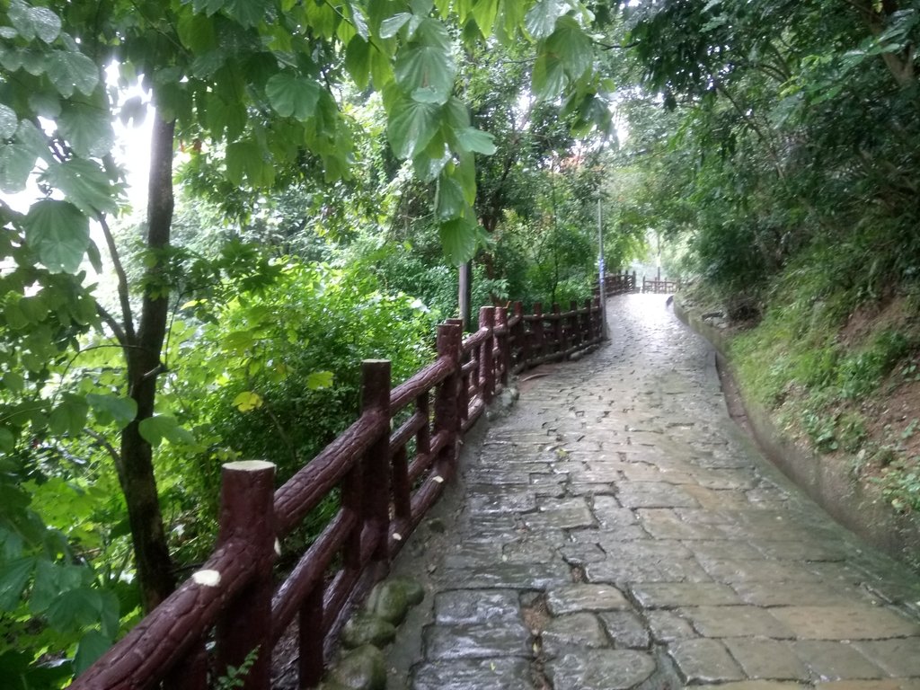 DSC_1706.JPG - 土城  承天寺  朝山步道