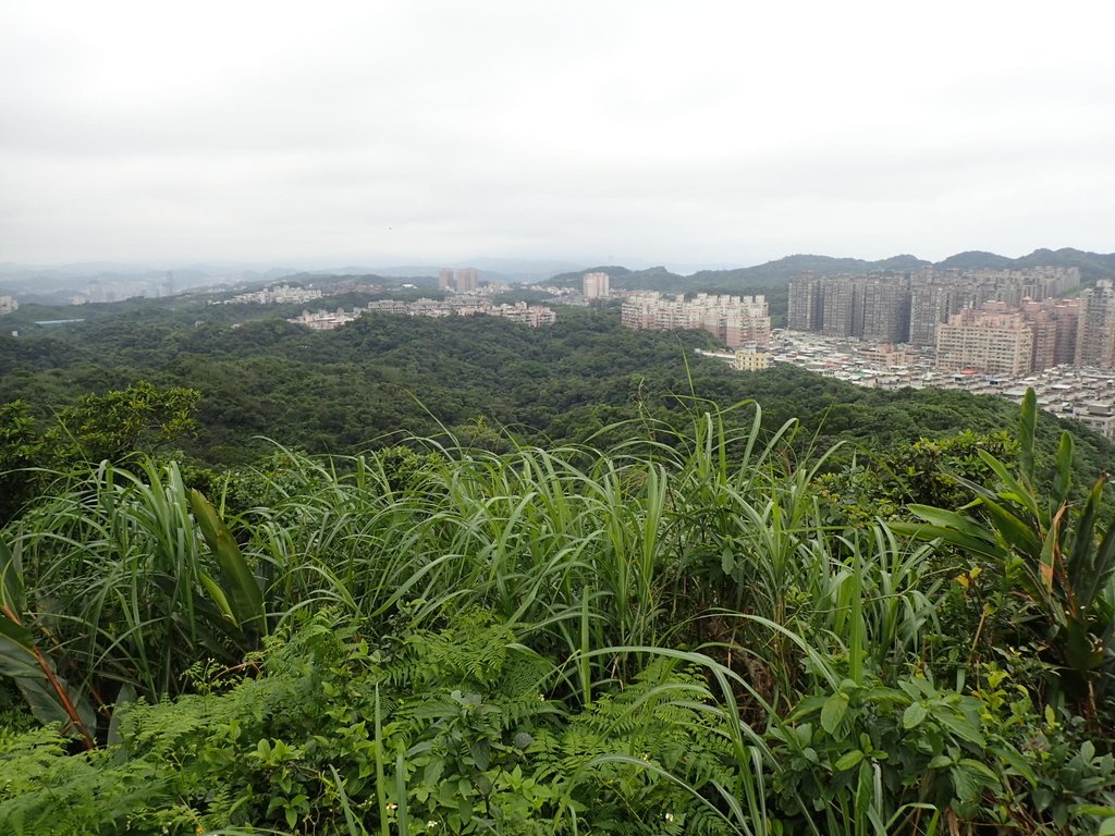 P4143570.JPG - 基隆  五坑山  總督嶺步道