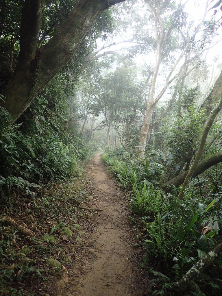 P2107530.JPG - 大溪  溪洲山登山步道