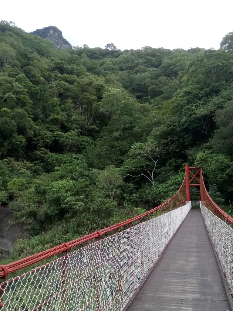 DSC_9480.JPG - 苗栗  泰安  虎山行