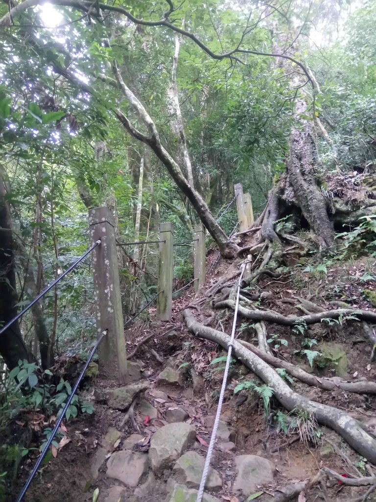 DSC_1281.JPG - 石壁山  嘉南雲峰步道