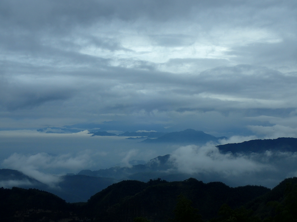 PA231818.JPG - 古坑  雲嶺之丘