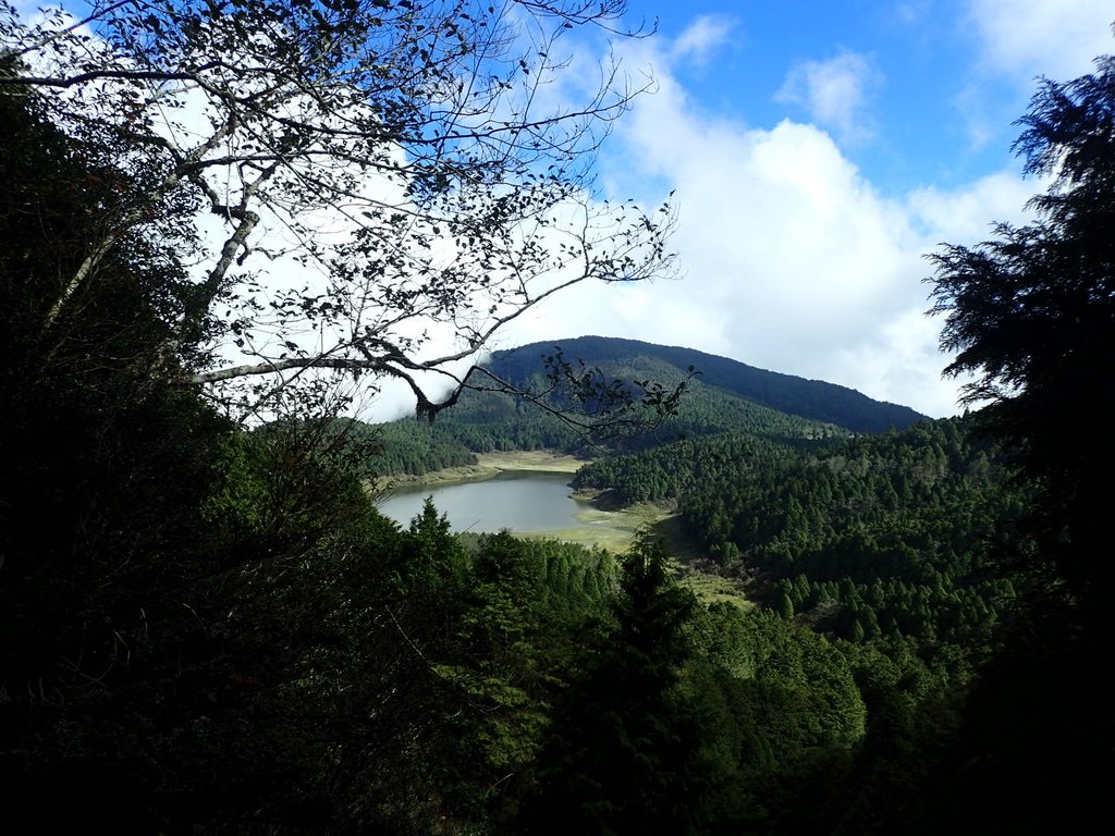 PB265493.JPG - 太平山  翠峰湖環山步道  02