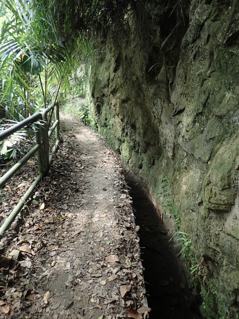 PA171298.JPG - 鹿谷  長源圳古道