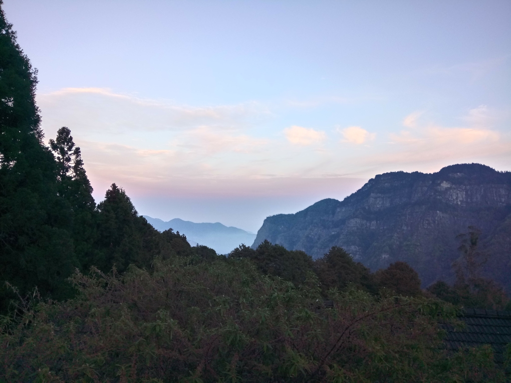 DSC_1616.JPG - 阿里山  沼平公園  賞櫻