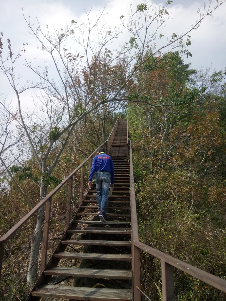 DSC_7328.JPG - 草屯平林  九九峰森林步道