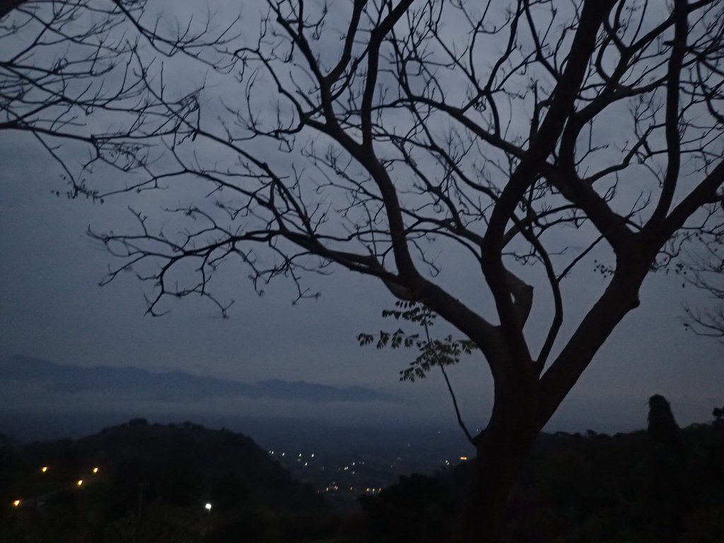 P1294599.JPG - 大湖  關刀山步道  (聖關段)