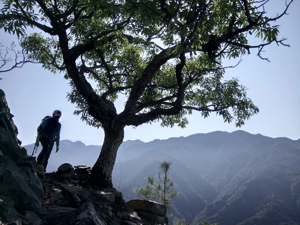 DSC_9880.JPG - 谷關  東卯山東南稜