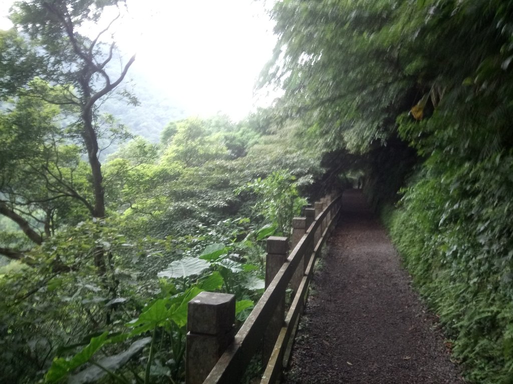 DSC_5787.JPG - 陽明山  水管路古道行