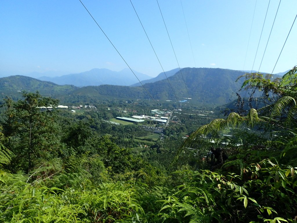 PA040355.JPG - 魚池  過坑山登山步道