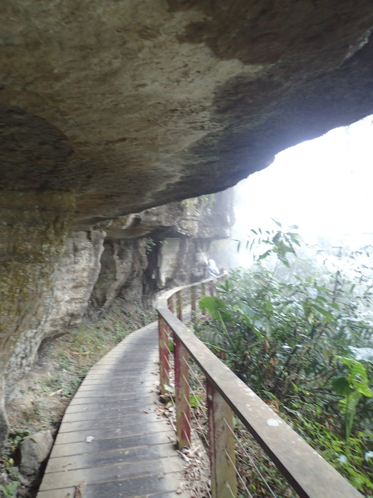 P1086446.JPG - 梅山  瑞峰村  竹坑溪步道