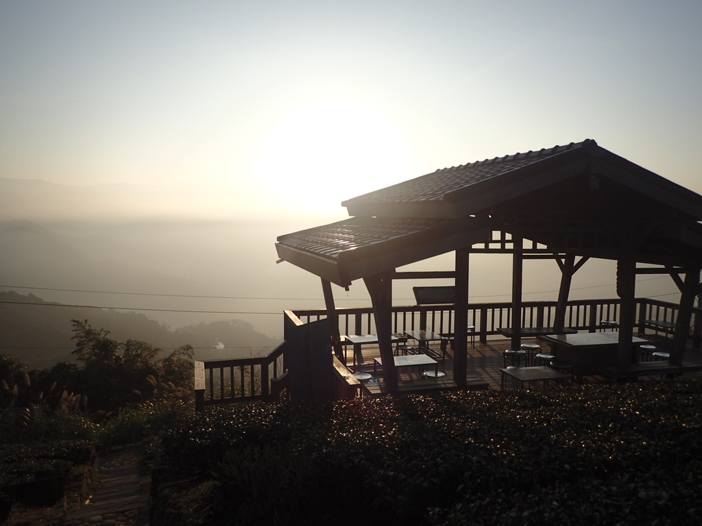 P1306583.JPG - 雲嘉  大尖山  二尖山步道