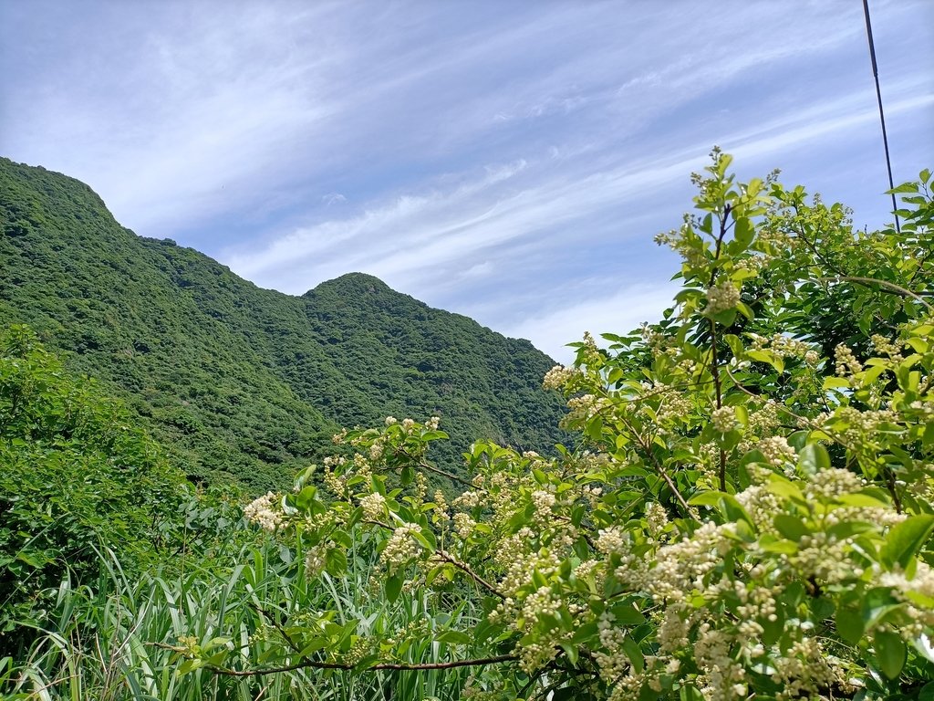 IMG20210430102038.jpg - 瑞芳  雞籠山東峰  (雷霆峰)