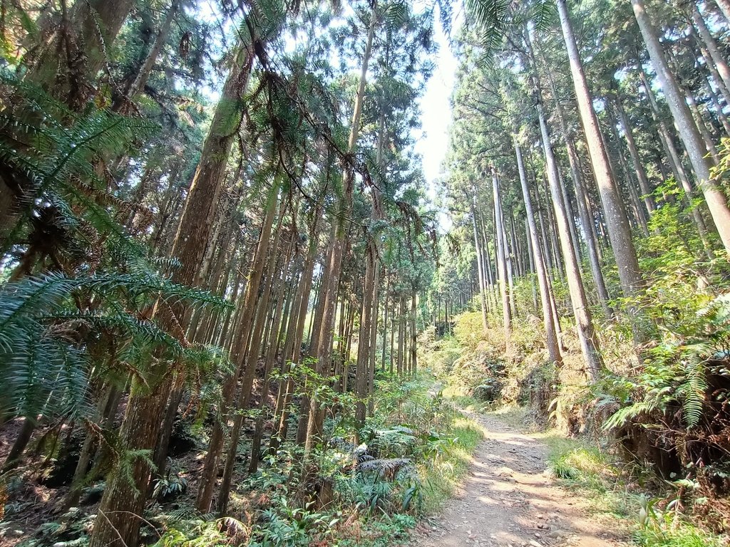 IMG20210403110842.jpg - 五峰  鵝公髻山登山步道  (02)