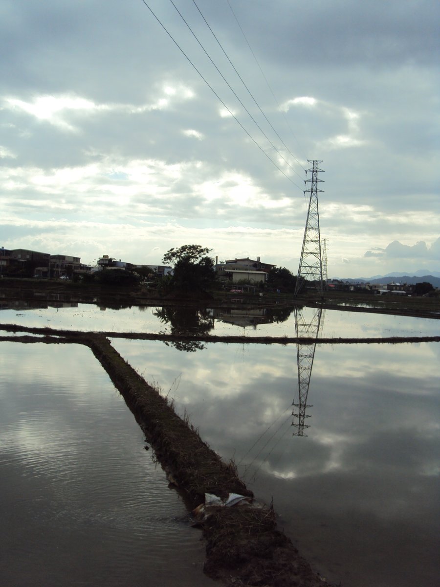 DSC03919.JPG - 頭城地區的水田景色