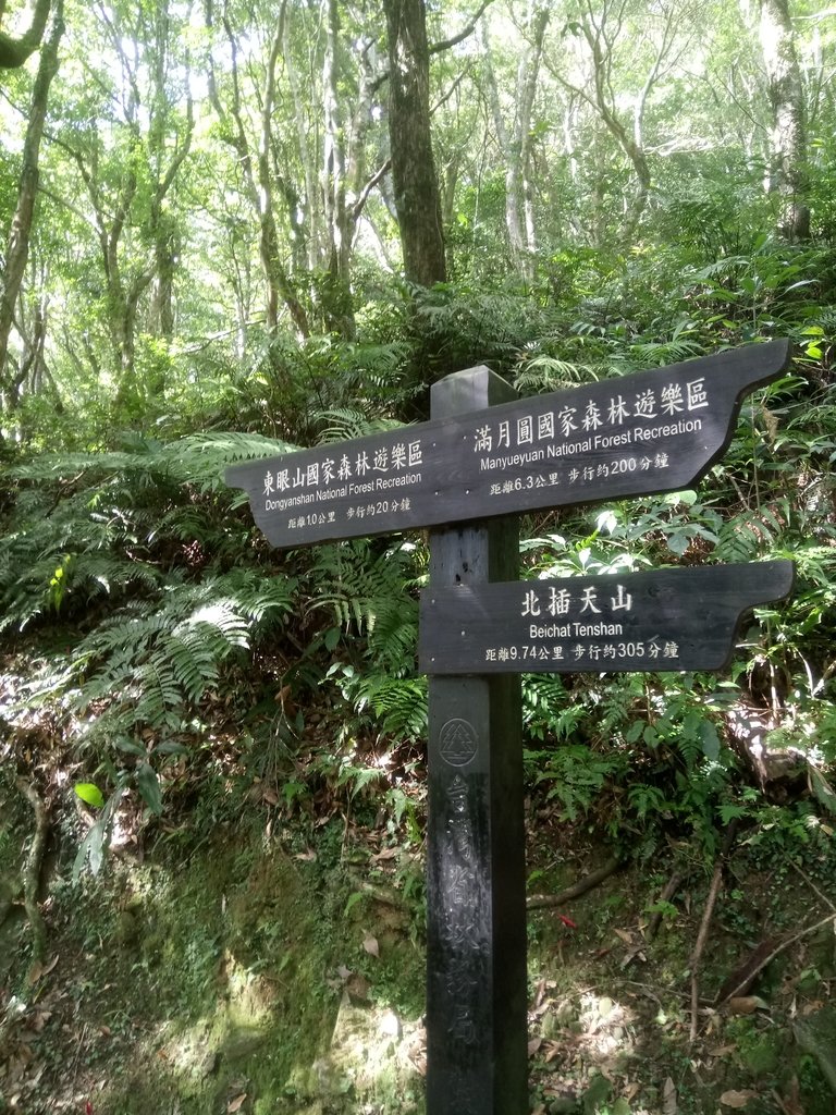 DSC_9015.JPG - 復興  東滿步道