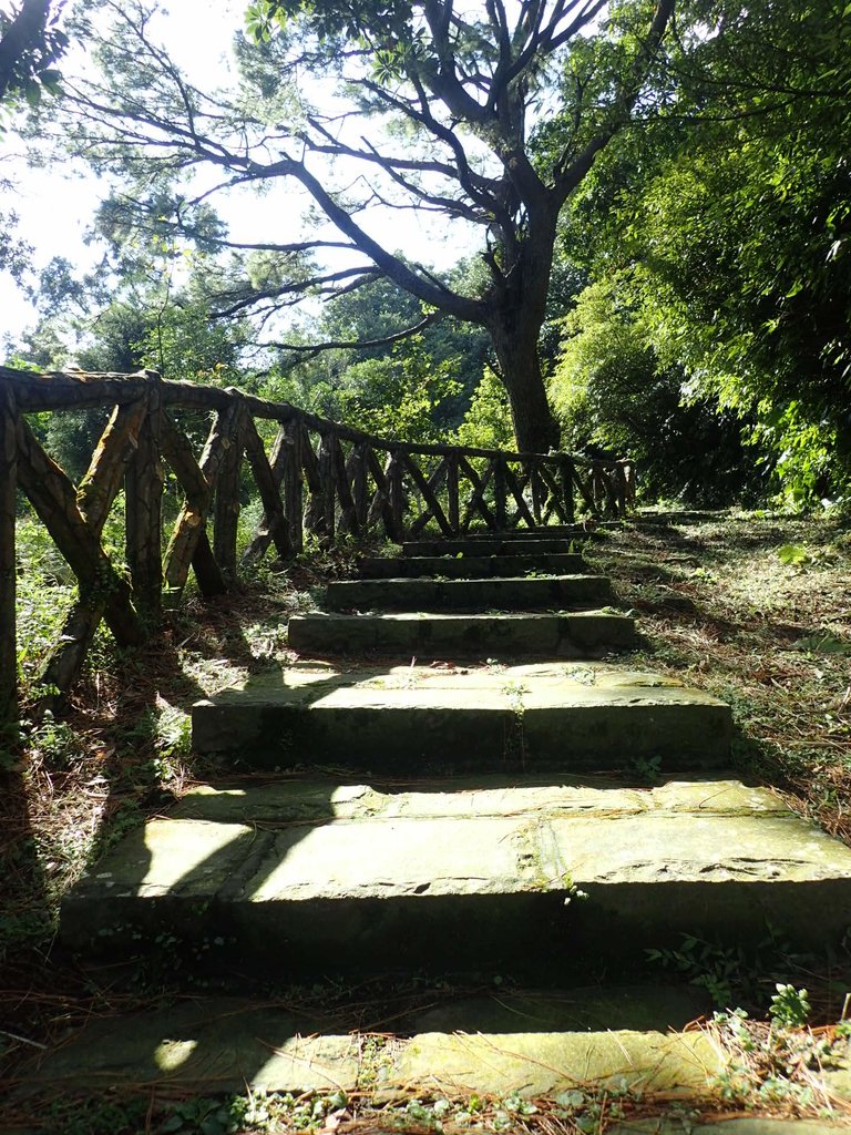 PB247202.JPG - 北投  中正山登山步道  02