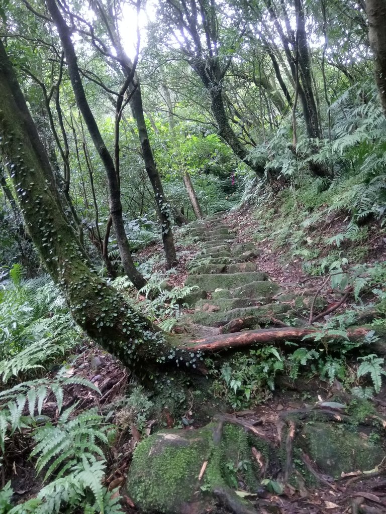 DSC_3606.JPG - 瑞芳  燦光寮古道初探