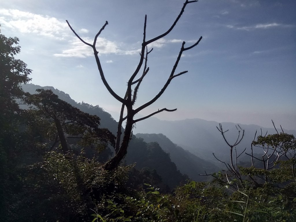 DSC_4801.JPG - 獅潭  仙山