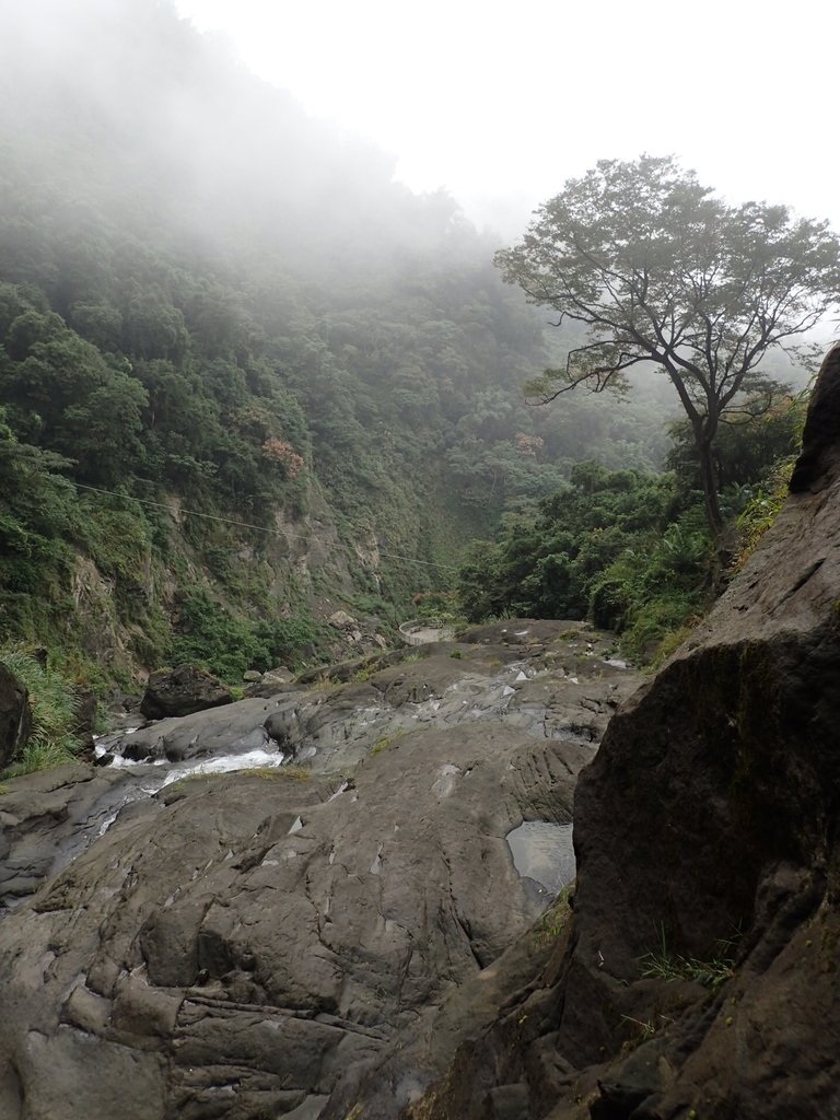 PA231588.JPG - 草嶺  蓬萊瀑布步道