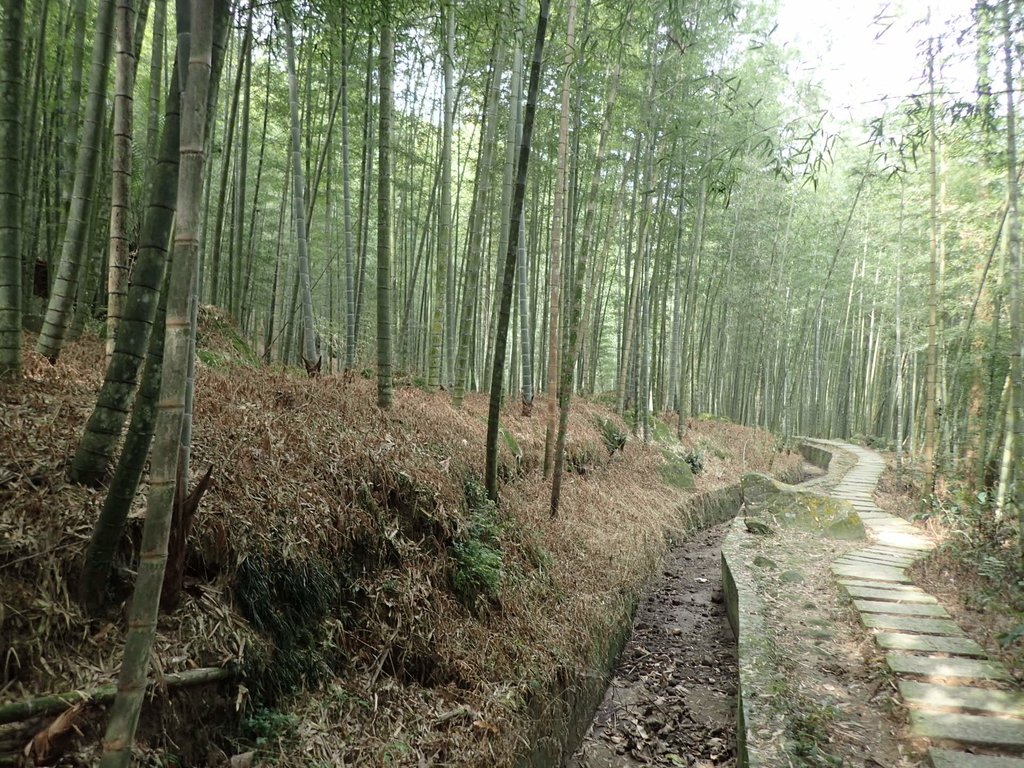 PA171301.JPG - 鹿谷  長源圳古道