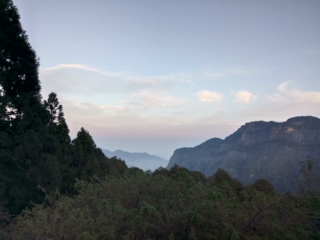 DSC_1617.JPG - 阿里山  沼平公園  賞櫻