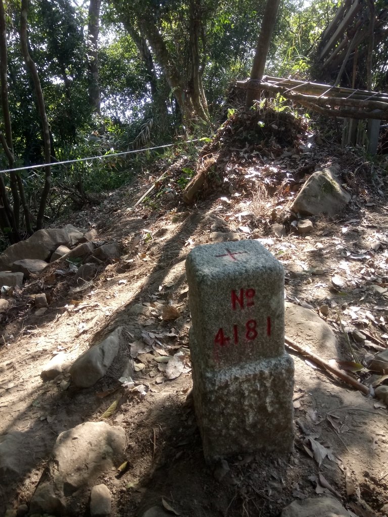 DSC_6880.JPG - 太平  暗影山(酒桶山)