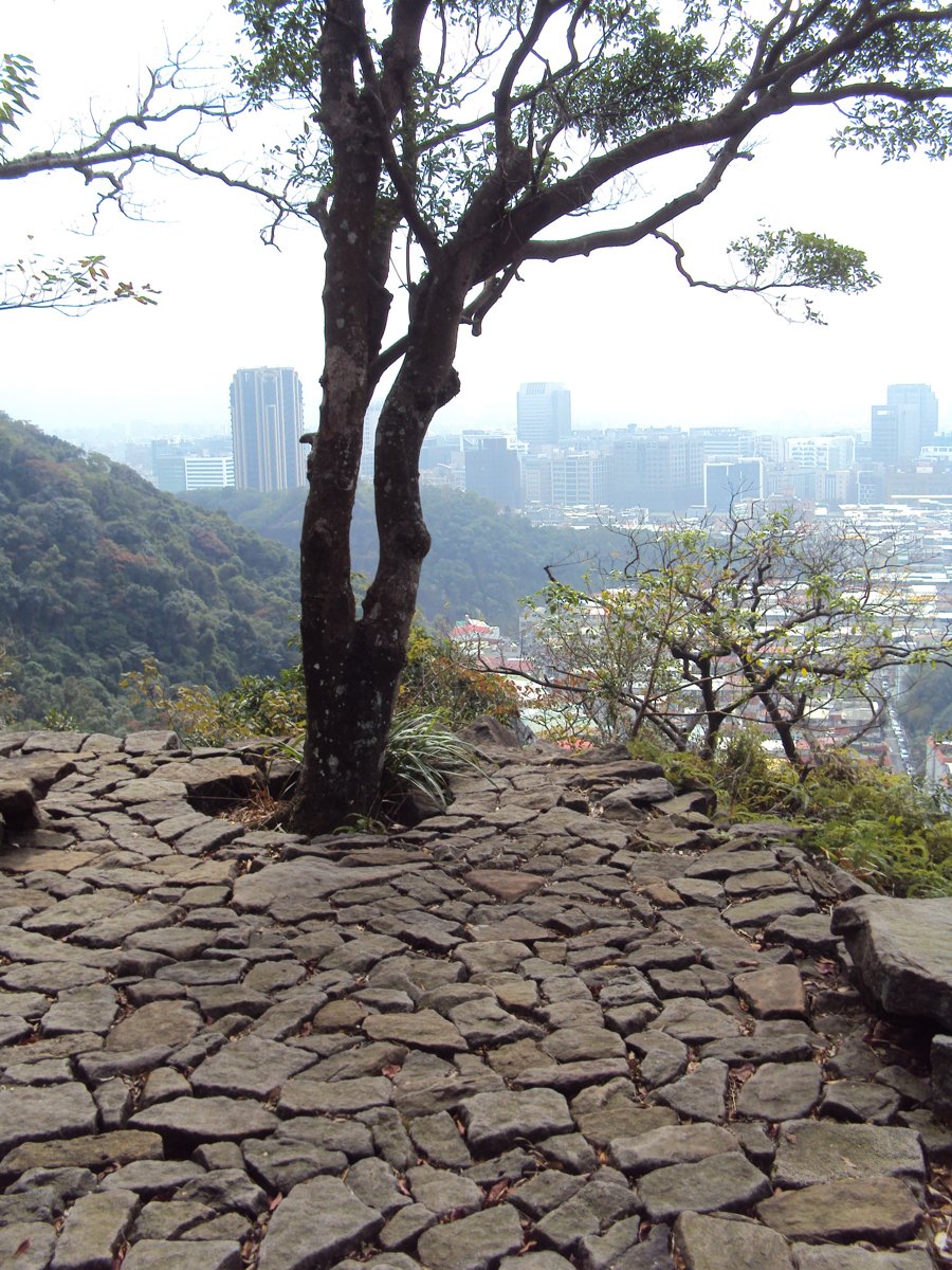 DSC06669.JPG - 內湖  金面山步道