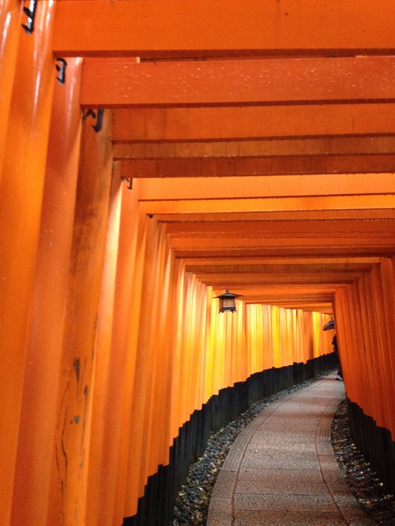 IMG_2622.JPG - 伏見稻荷神社  千本鳥居