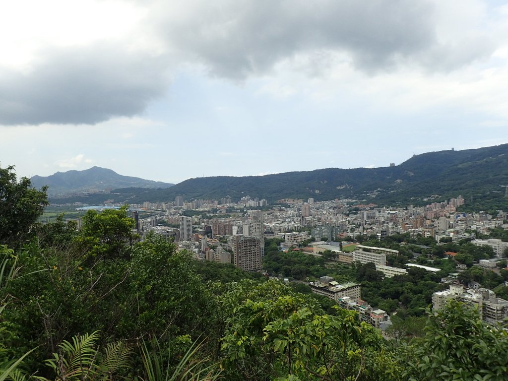 P9238351.JPG - 北投  熱海岩場