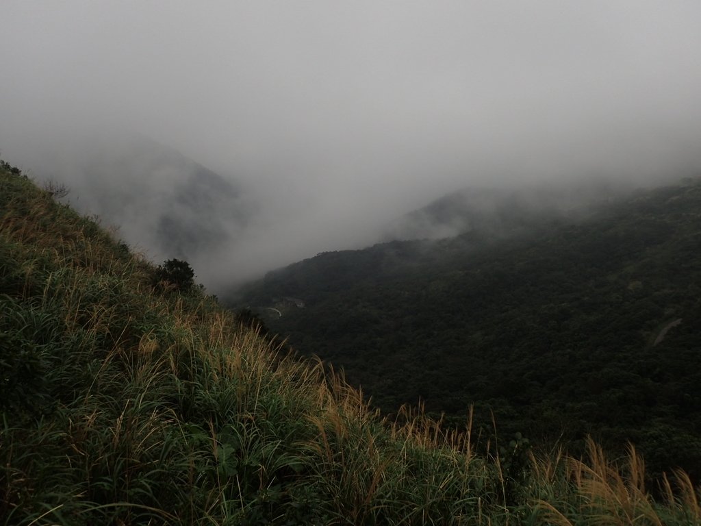 P1203568.JPG - 瑞芳  牡丹山